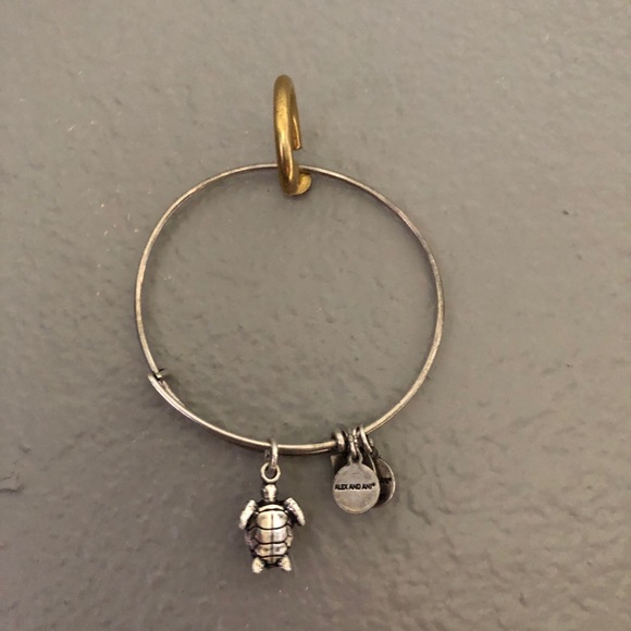 Alex and Ani sea turtle bracelet - Picture 2 of 2